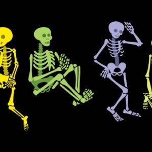 Halloween design — Skeletons SVG bundle for spooky shirts, mugs, and party crafts